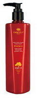 ARGAN ACTIVE SHAMPOO 300ML