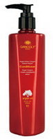 ARGAN ACTIVE CONDITIONER 300ML